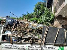 Best Garage Cleanout  in Constantine, MI